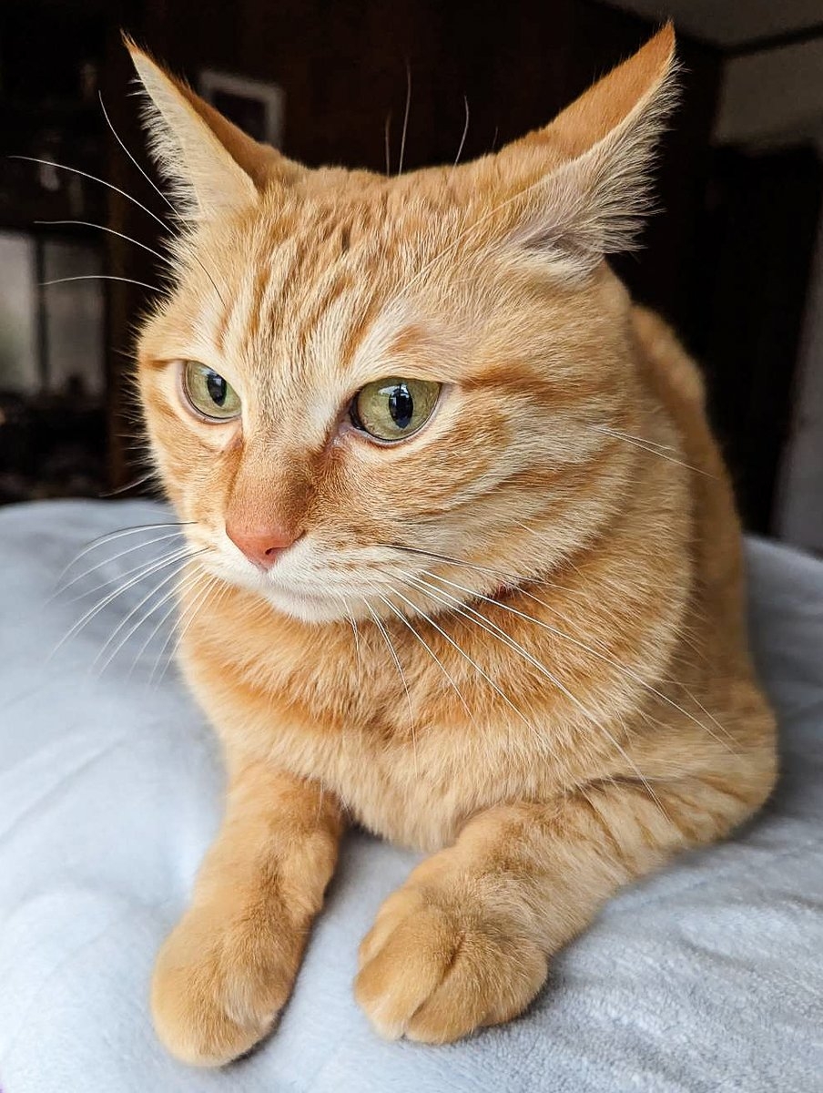 奴才：所以說遇見我是你的福氣啊