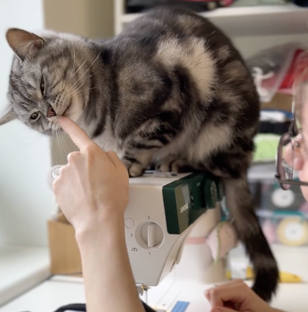 奴才：對啊～我弄完了 