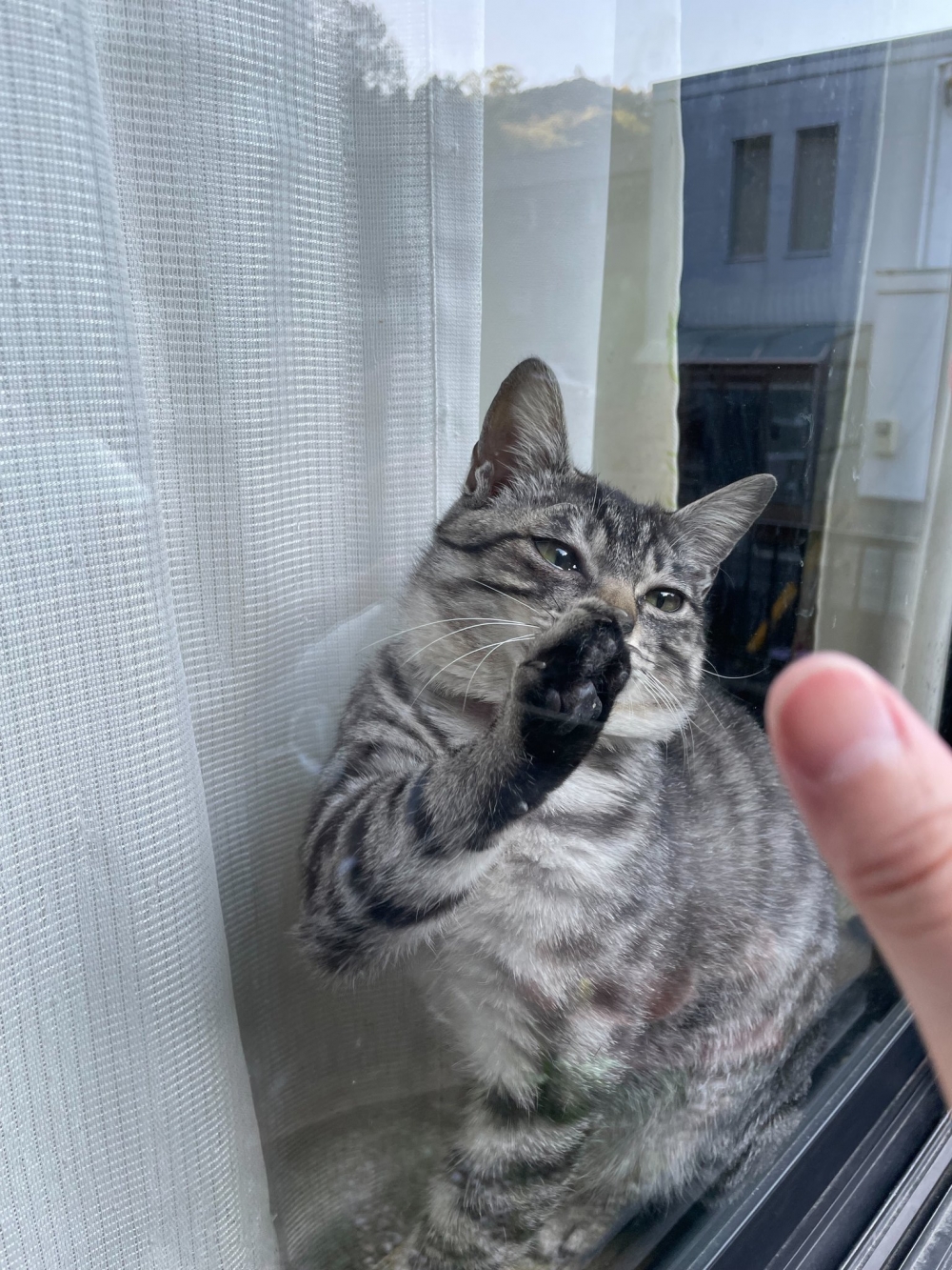 奴才：我會早點回家的