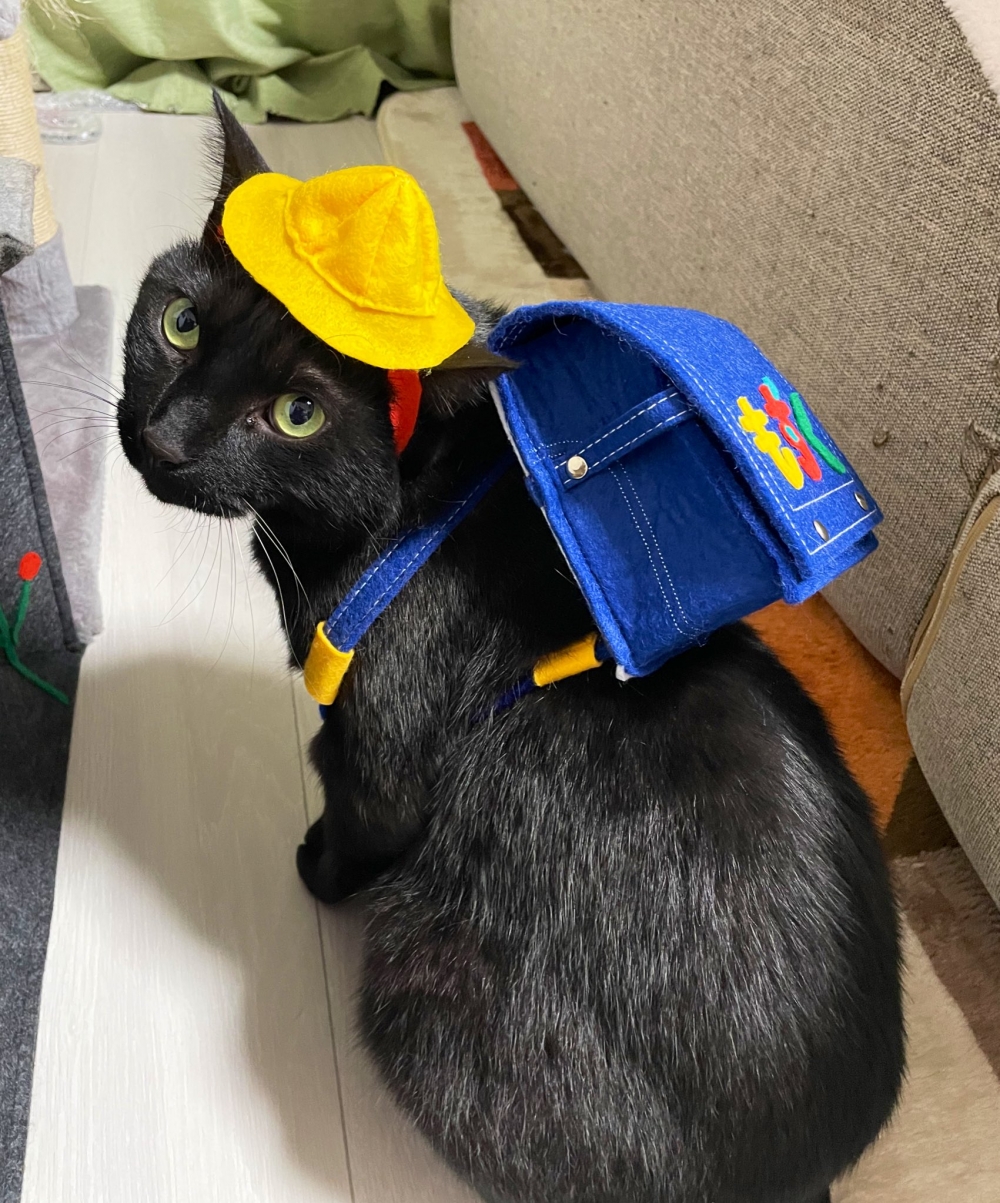 奴才：祝福你開學順利喔～