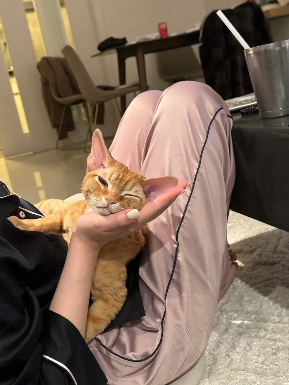 奴才：你真的好會啊！