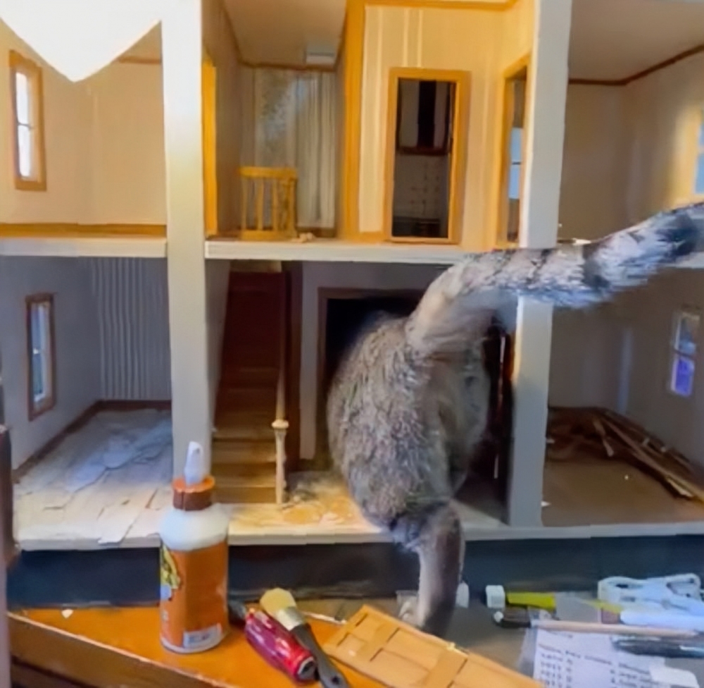 奴才:還真的進得去喔