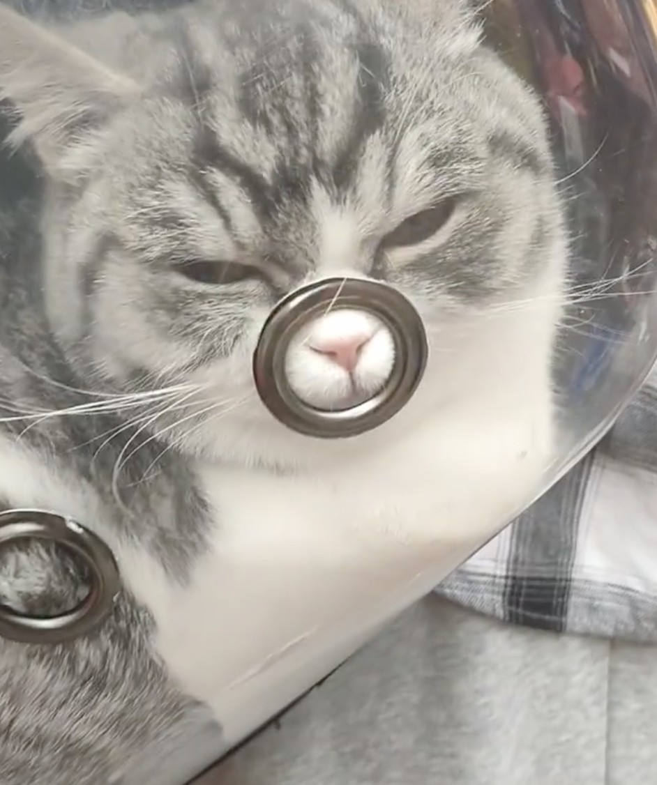 奴才：也是沒錯啦