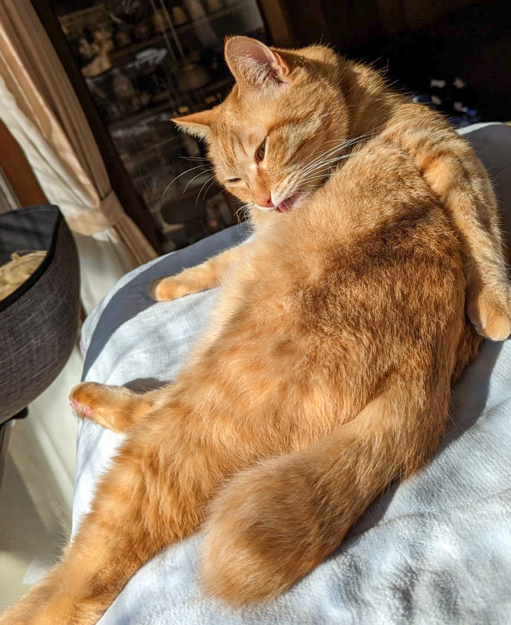 奴才：你好享受啊