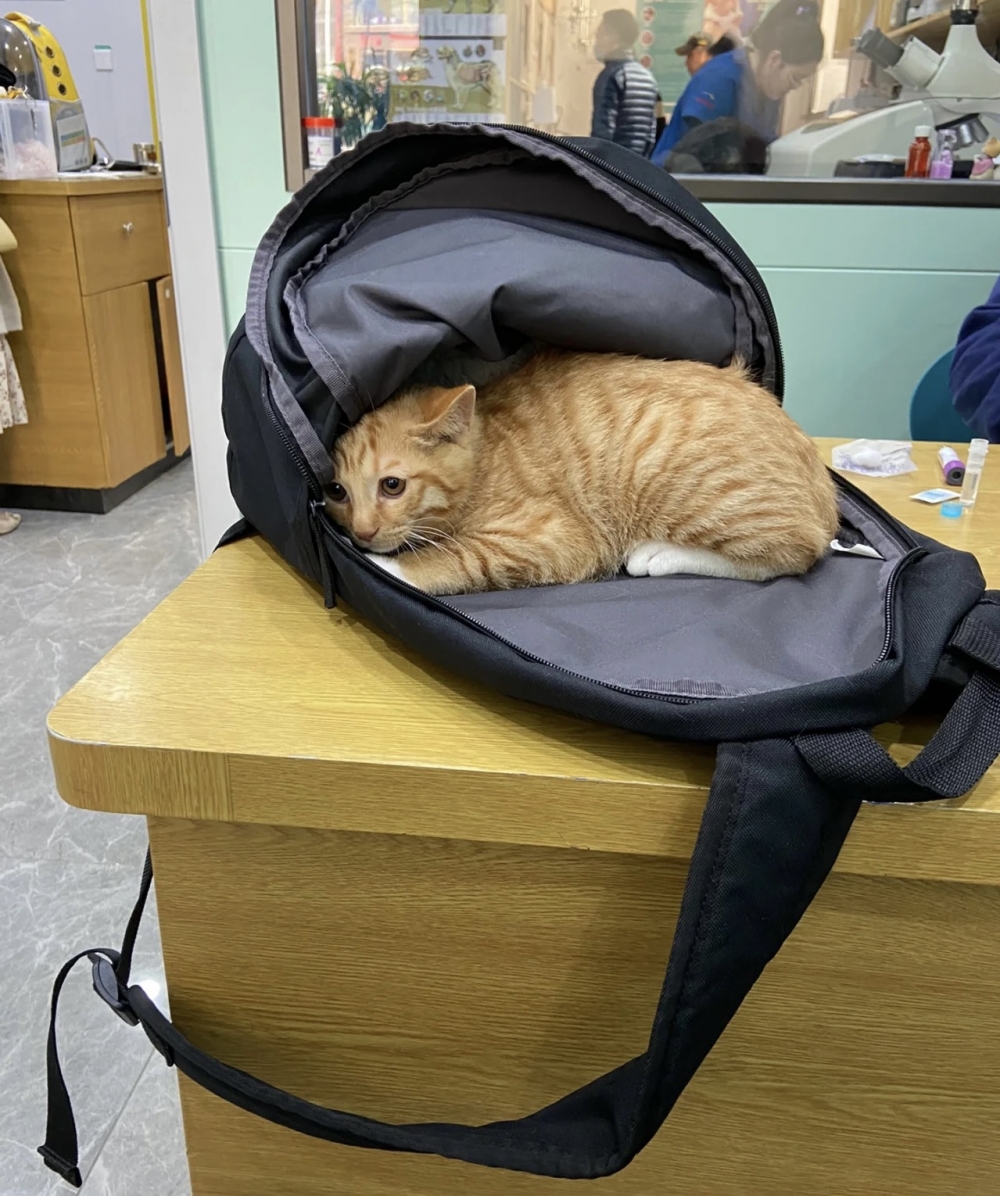 奴才：好吧～那你緩一緩