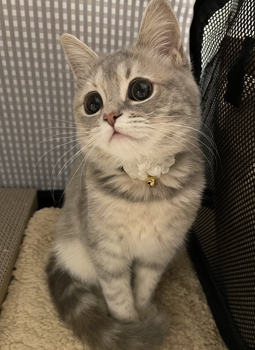 奴才：接觸久了就會愛上噠