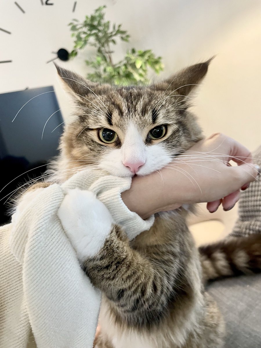 奴才：好啦！暫停一下跟你玩玩囉