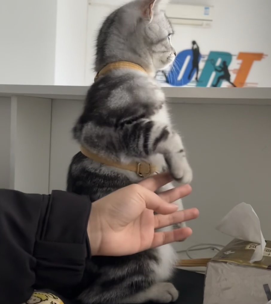 奴才：你站穩一點啦