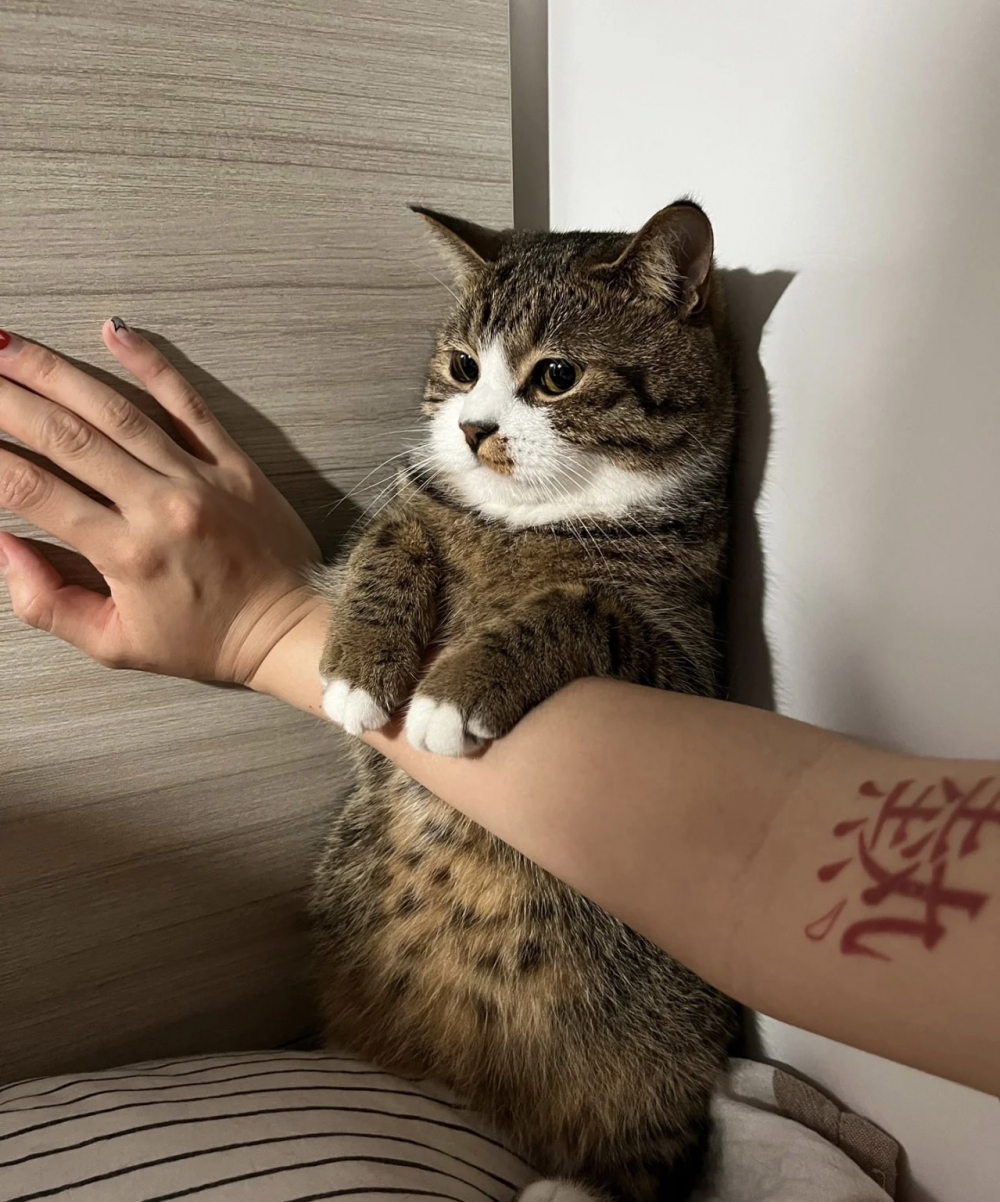 奴才：你還想要落跑喔