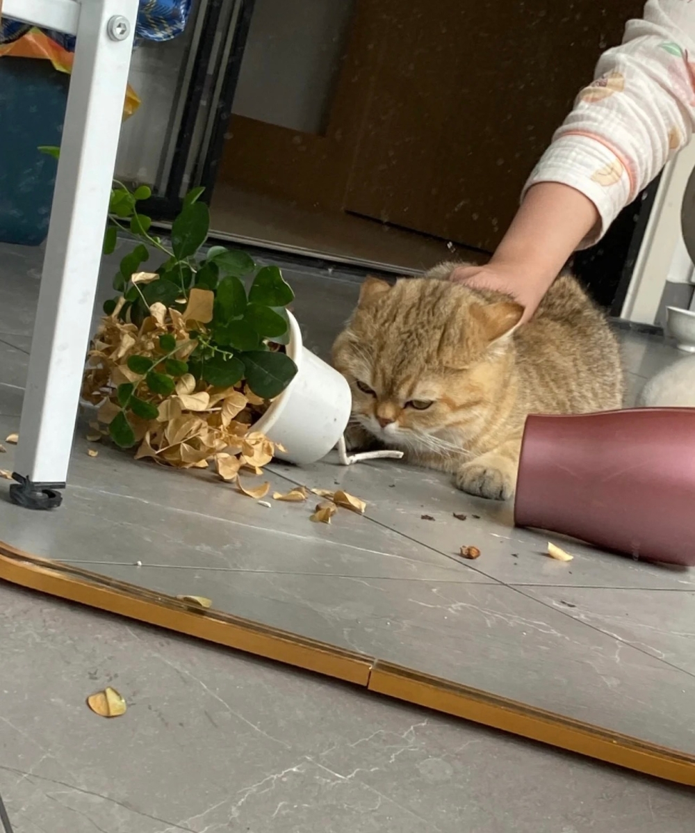 奴才：看來是要給你來點厲害的教訓了 