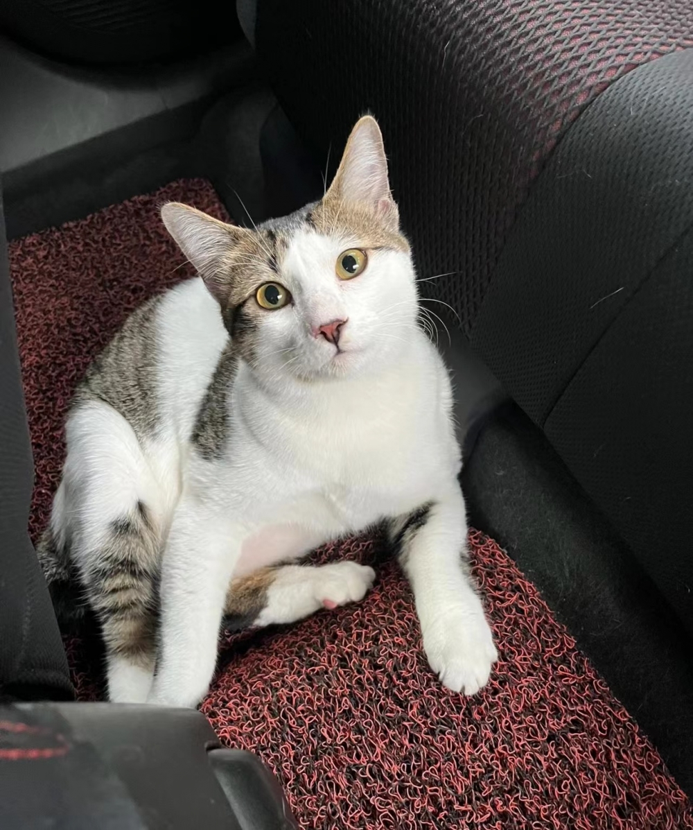 奴才：這邊就沒辦法看到外面的風景了