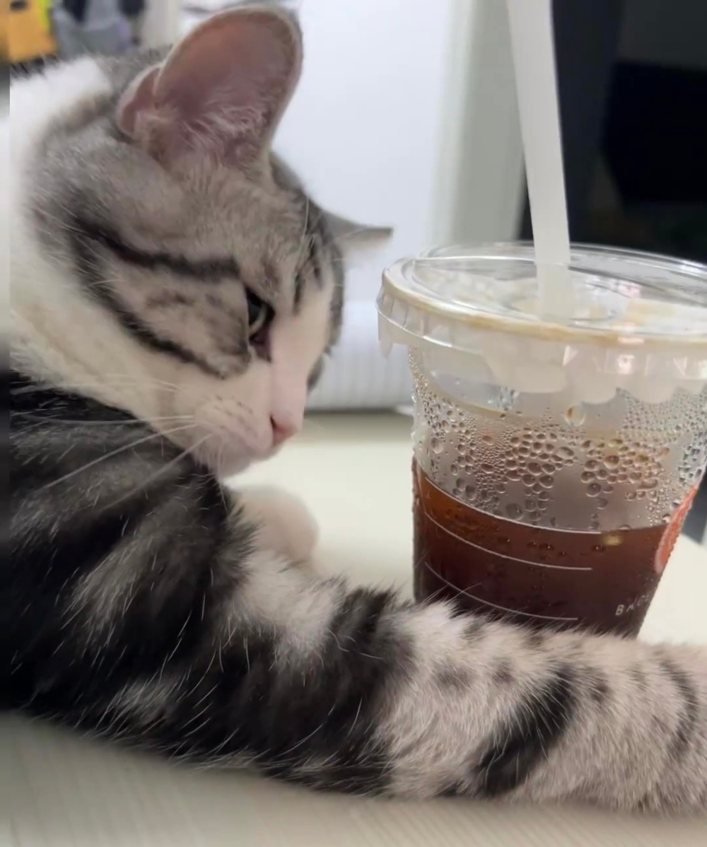 奴才：你只有看的份喔～