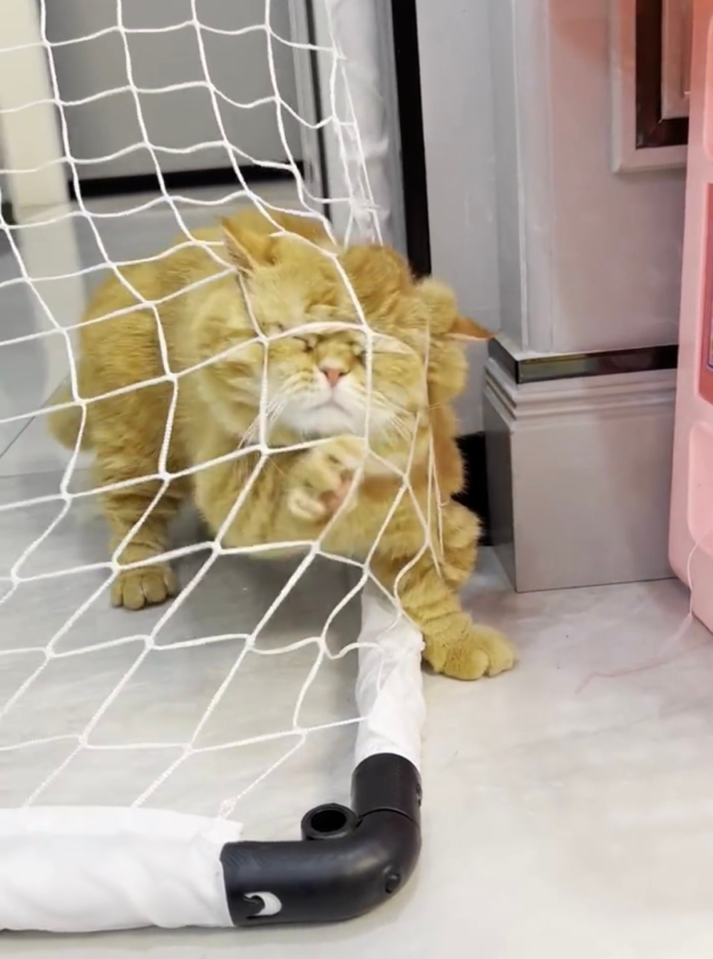 奴才：那就是你的鬍子失靈了