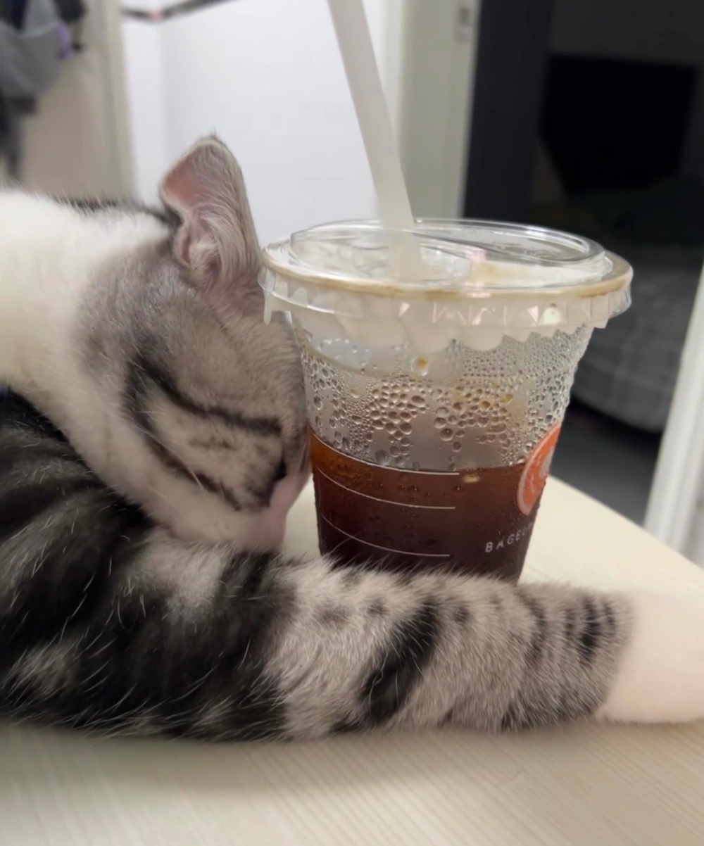 奴才：那麼快就睡著了嗎？