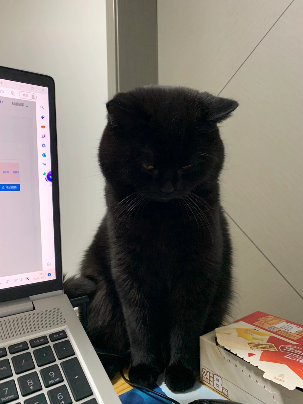 奴才：你什麼時候變得那麼小氣了