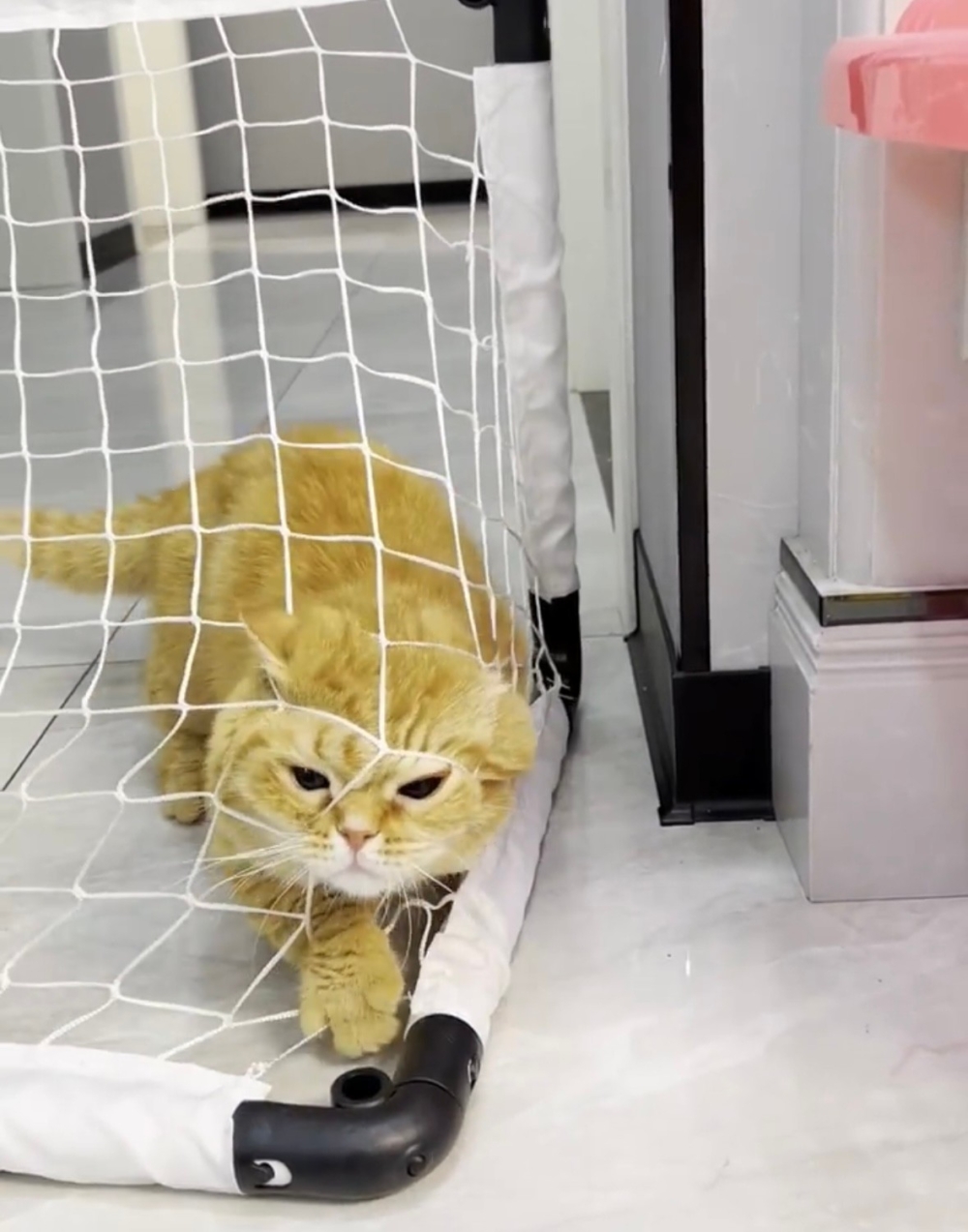 奴才：不需要證明好嗎！