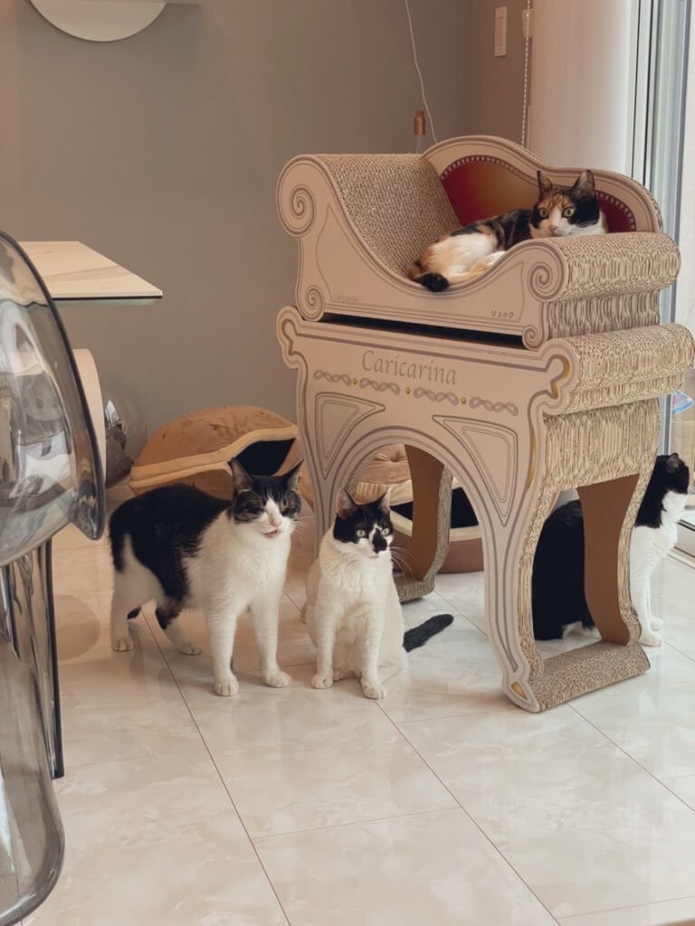 奴才：我是不是還要跟你說謝謝啊...