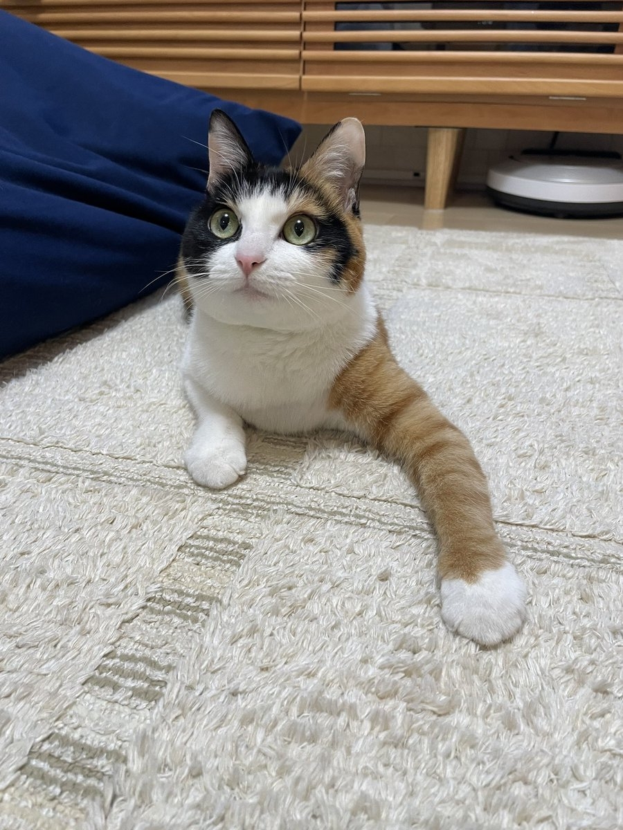 奴才：知道啦～你最獨特了