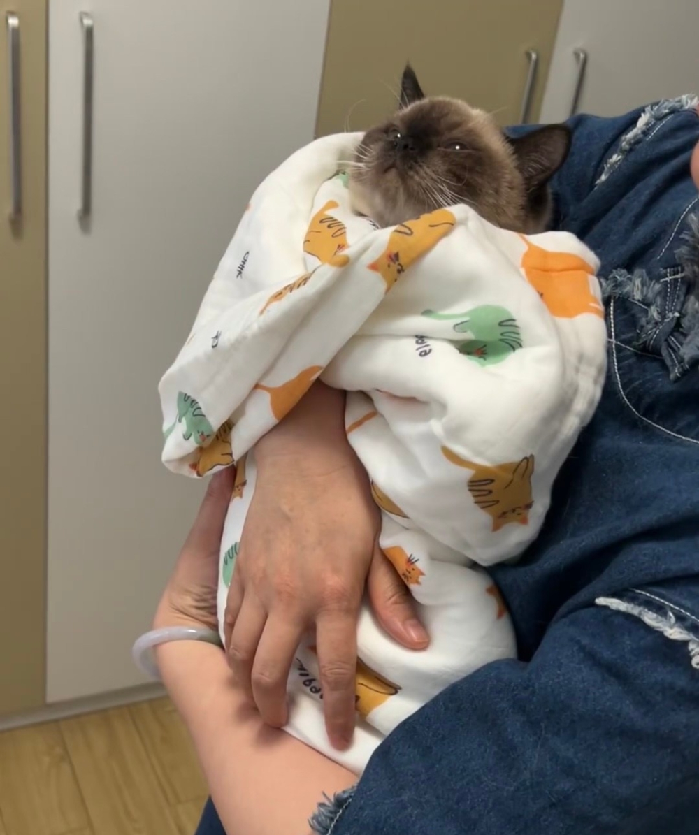 奴才：還真的是把你寵壞了！