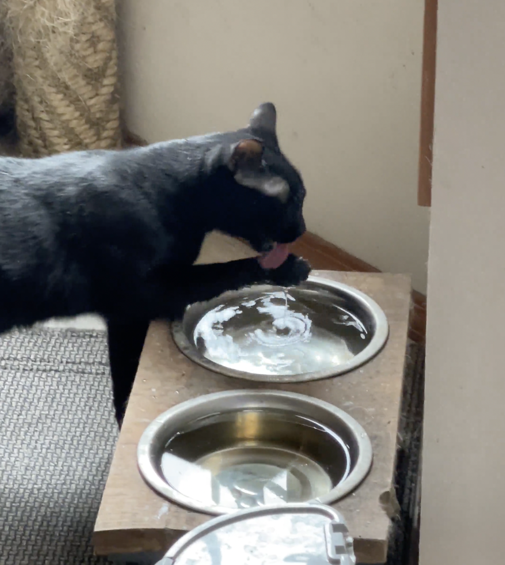 奴才：有那麼口渴嗎？