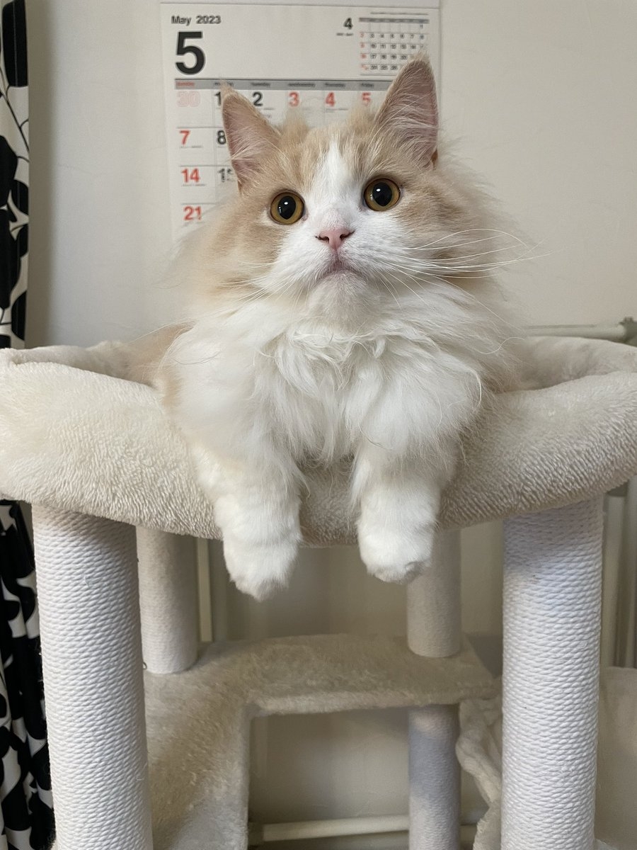 奴才：最好記住你說的話啊