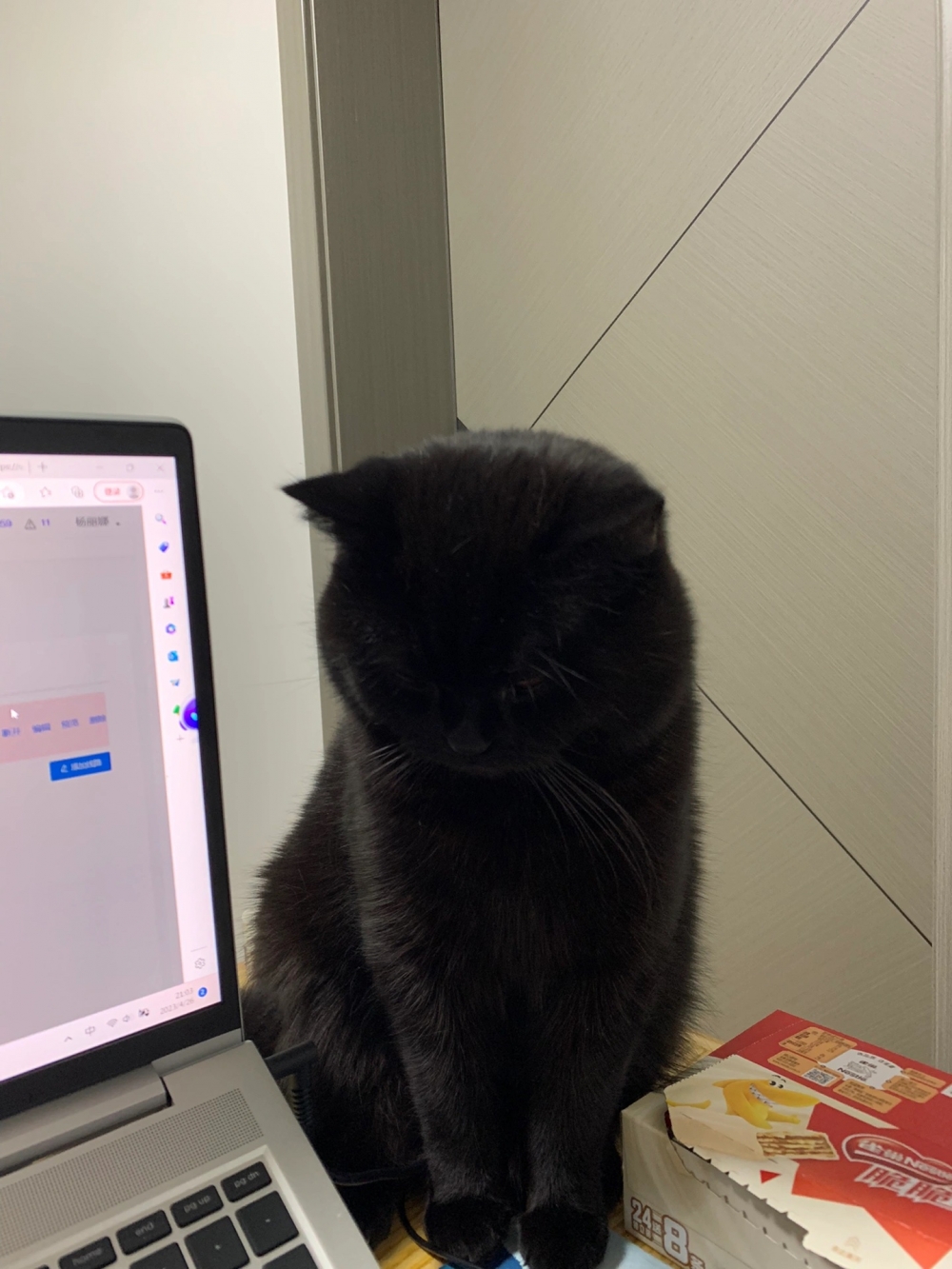 奴才：我們要相互體諒啊～