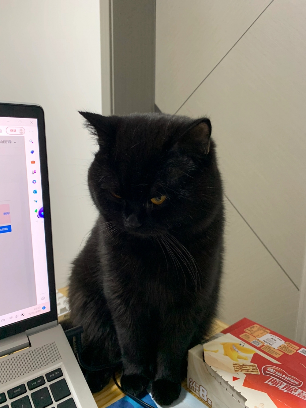 奴才：我在忙啦