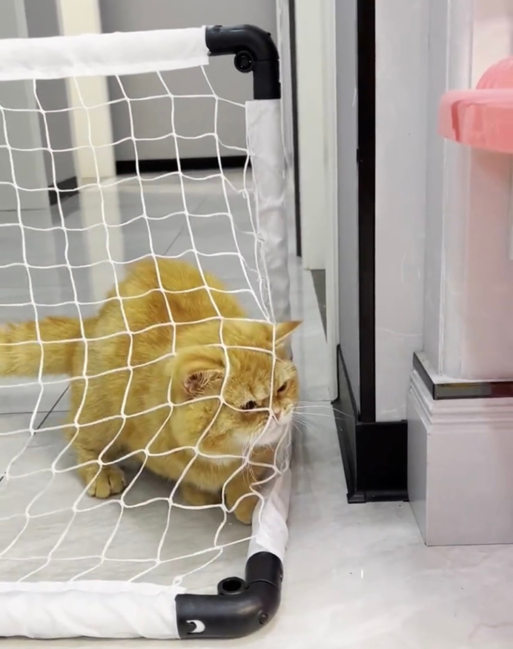 奴才：受傷了就別怪我沒有提醒你喔