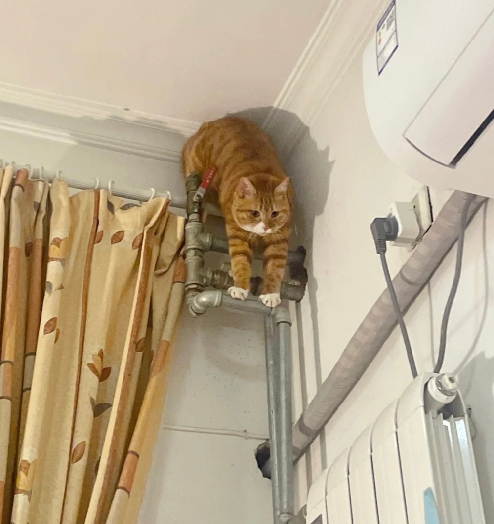 奴才：你別興奮過頭了