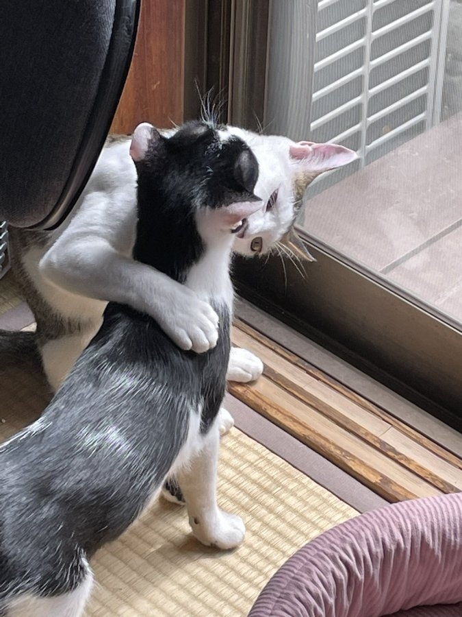 奴才：哇噻！你很會捏 