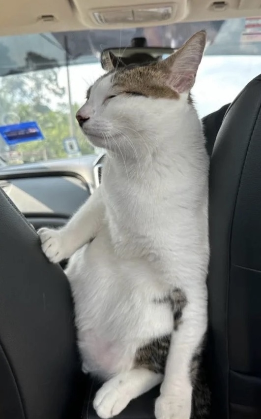 奴才：好啦！各自入座自己的位置，我們出發吧