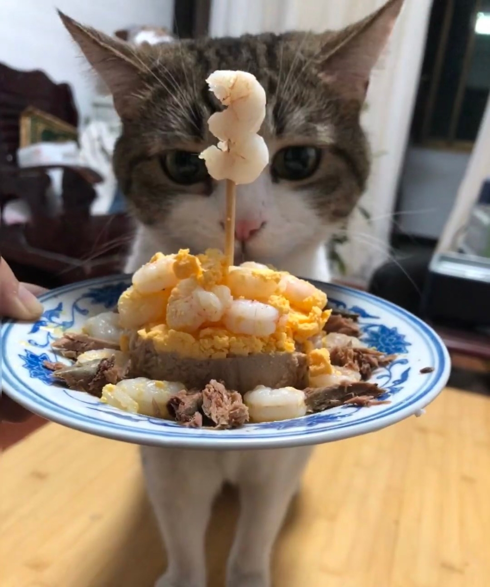 奴才：恭喜恭喜