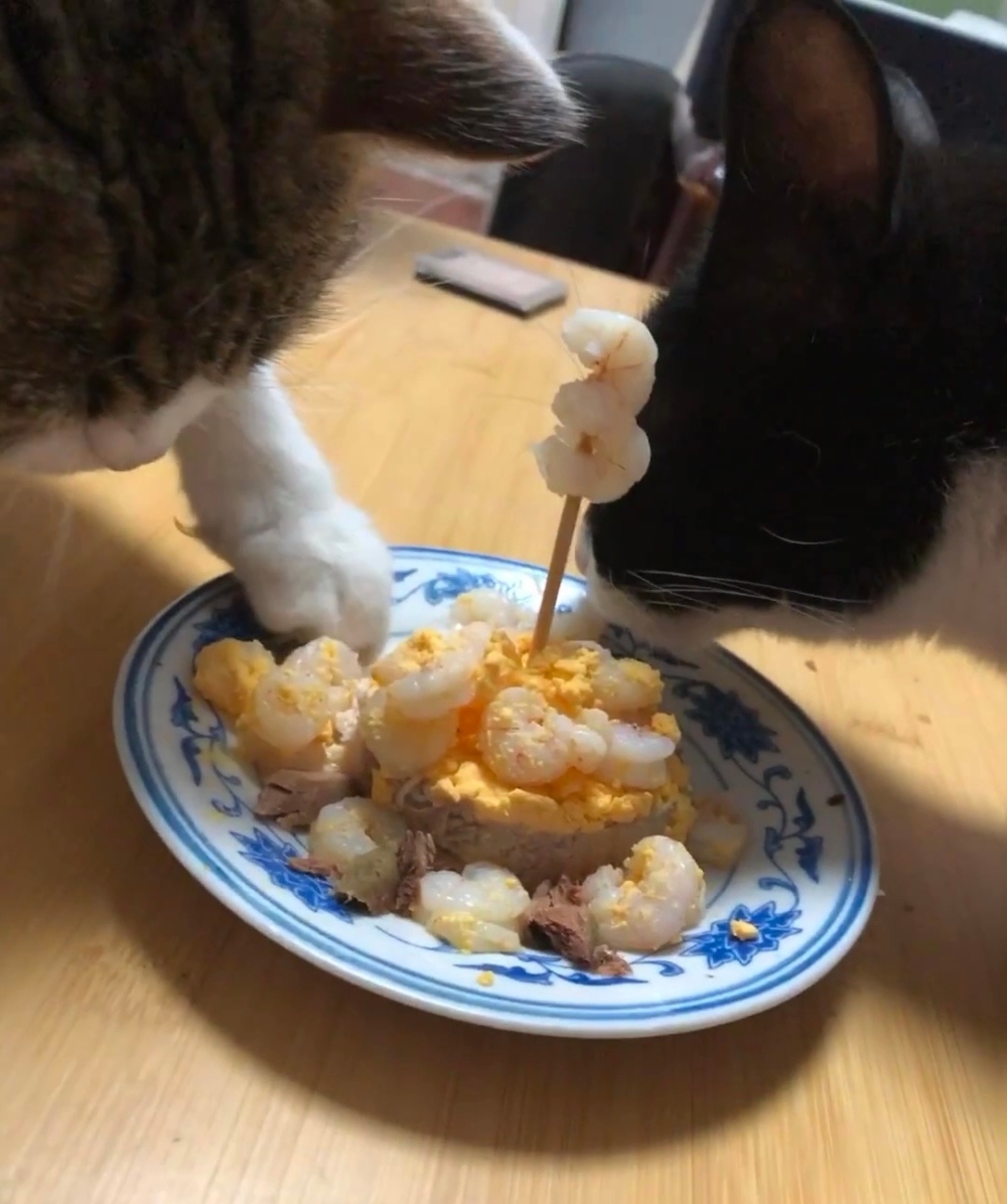 奴才：你好暖心喔～