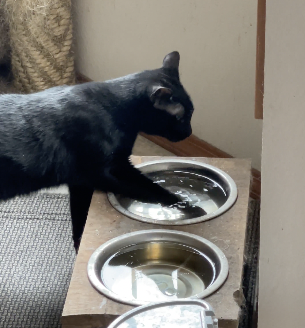 奴才：難道你以為我沒有給你水喝喔