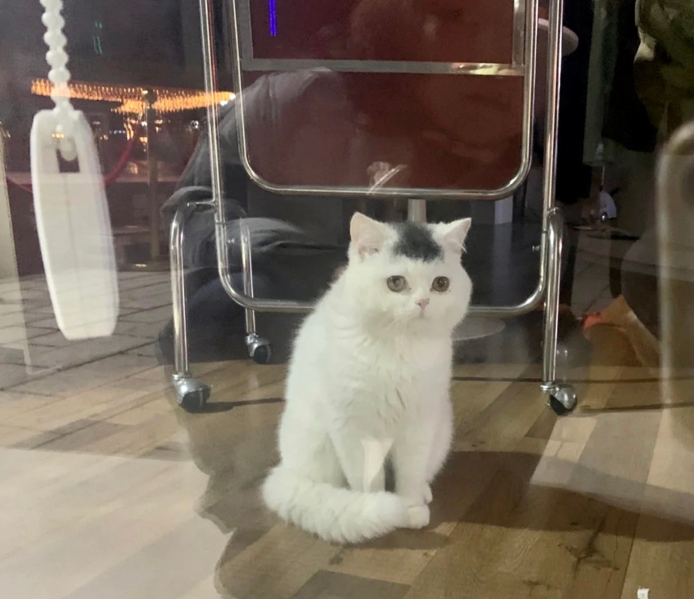 奴才：好吧～破例一次好了 