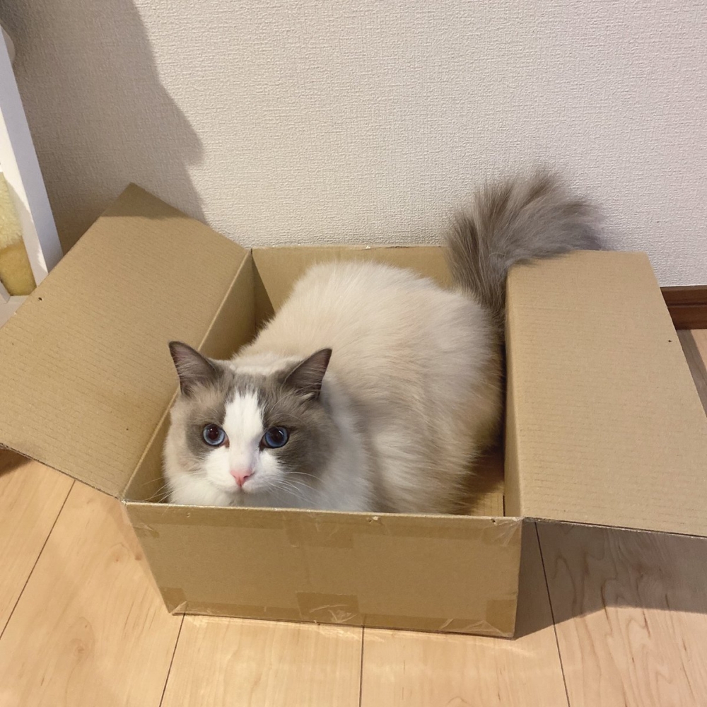 奴才：相信你可以控制住自己的