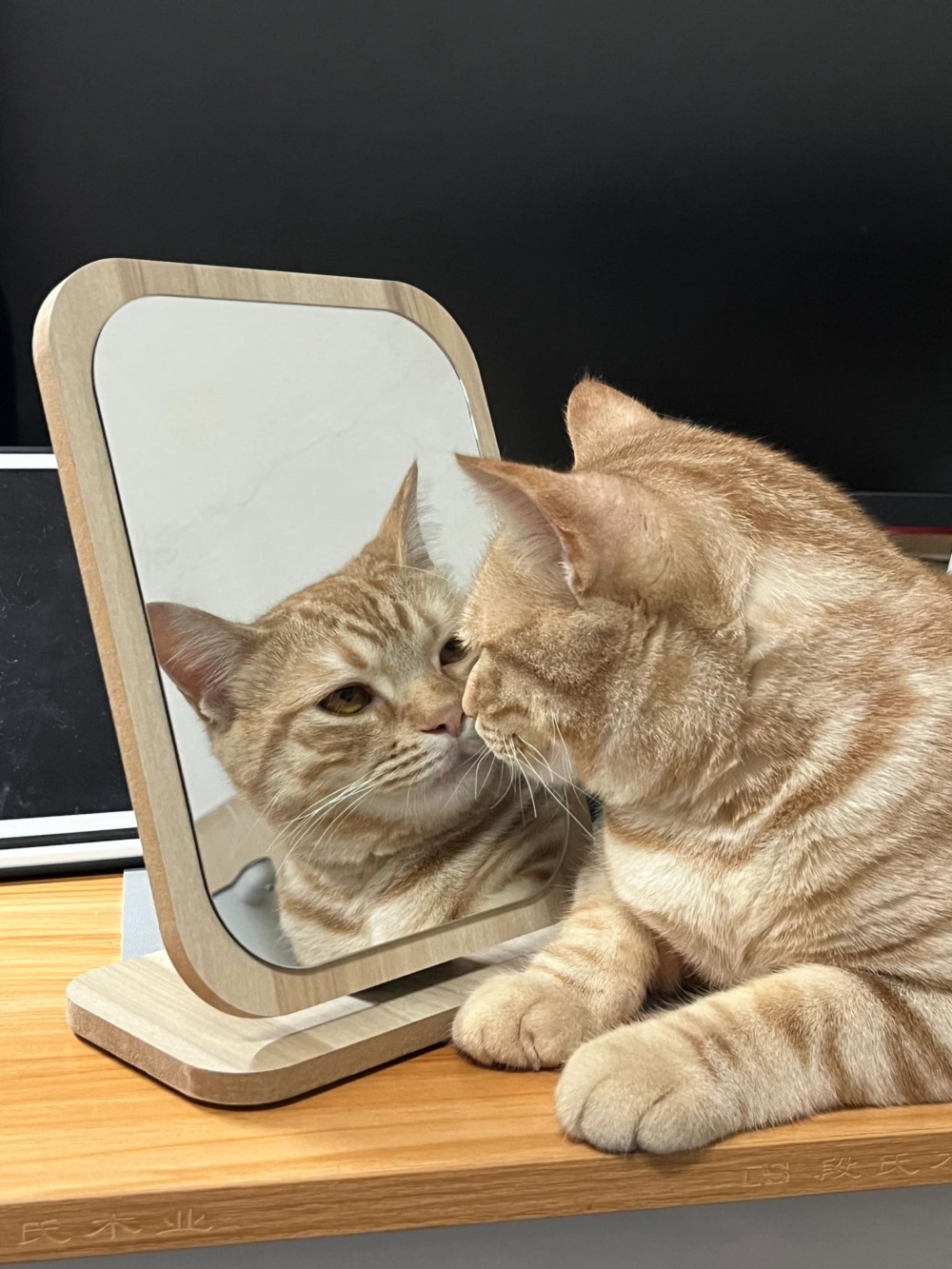 奴才：你說了算囉