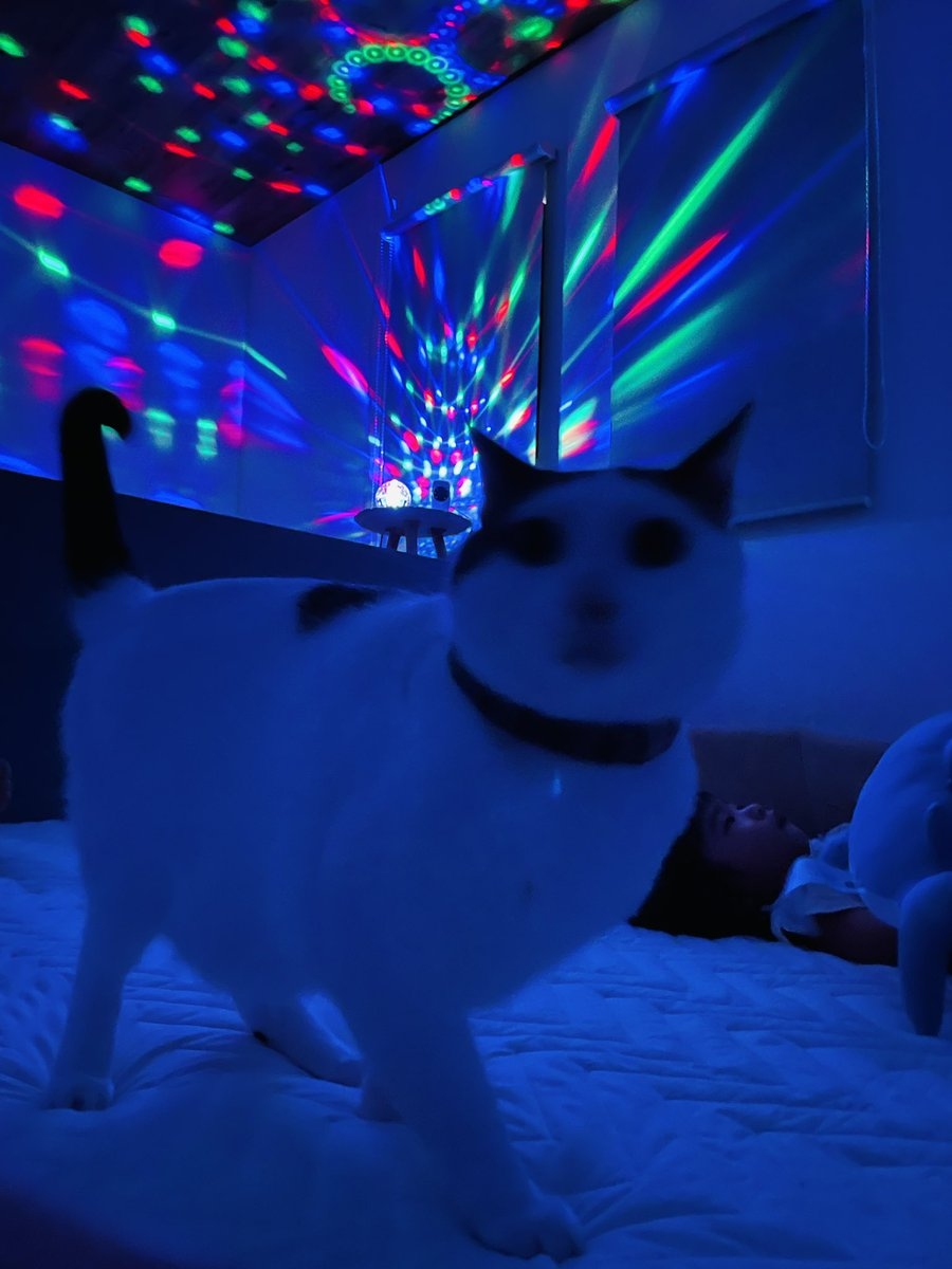 奴才：你是偷學的吧