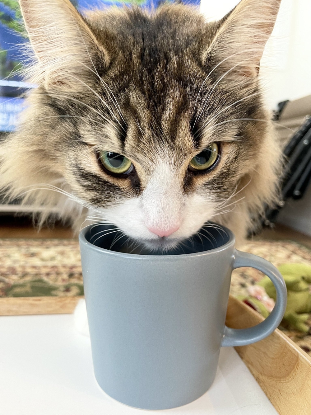 奴才：你用我的水杯喝水，我看一下都不行嗎？