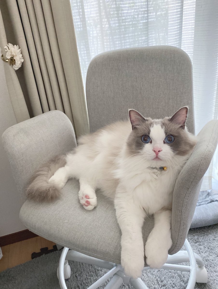 奴才：看來你真的很想吃喔～