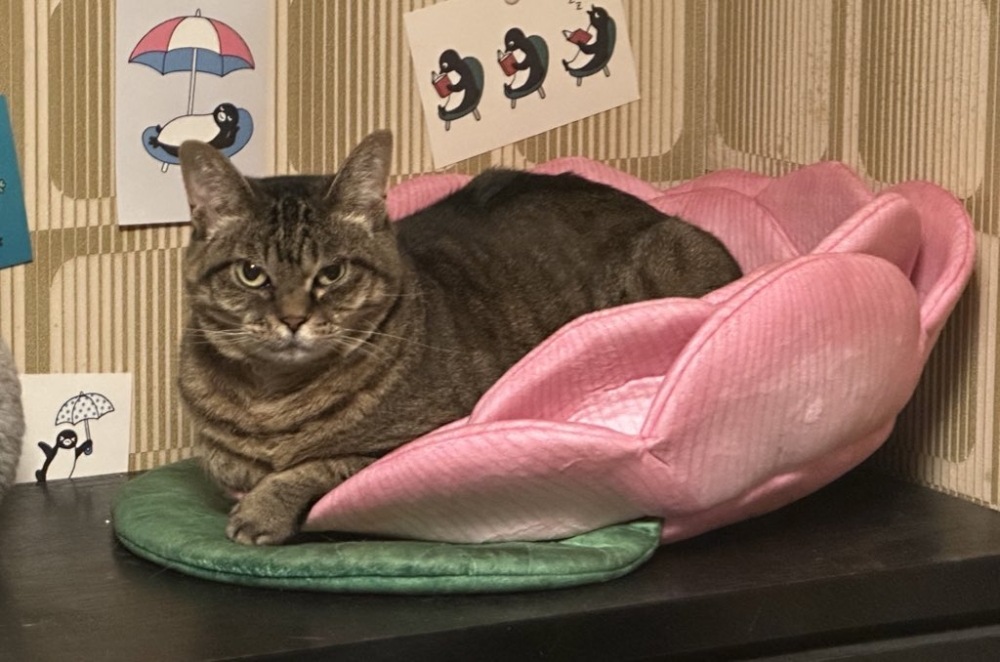 奴才：知道啦～保證不會了