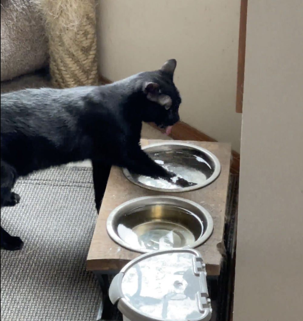 奴才：那就喝多一點囉