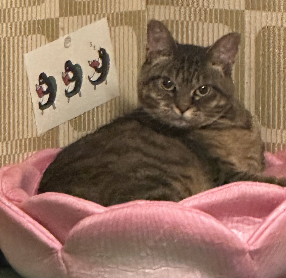 奴才：好啦！確實是會有些不爽的