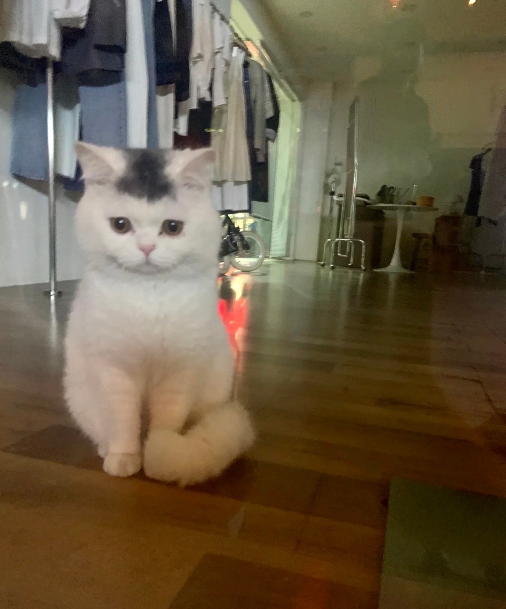 奴才：平常都不會有什麼大事囉