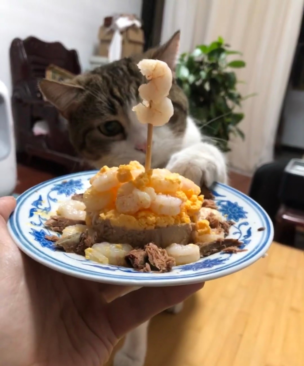 奴才：專門為你準備的喔～