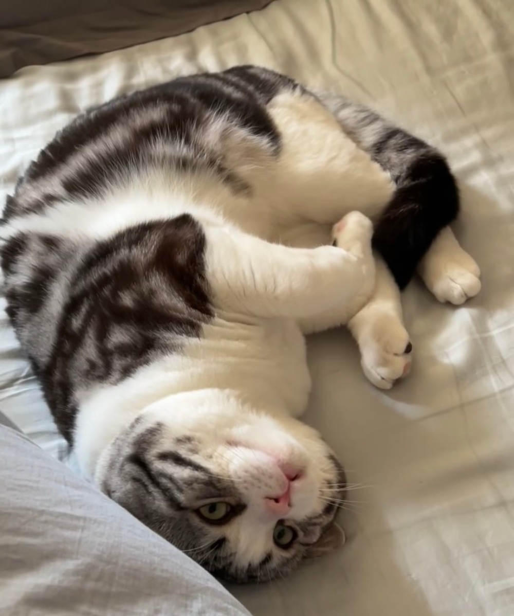 奴才：你確定嗎？