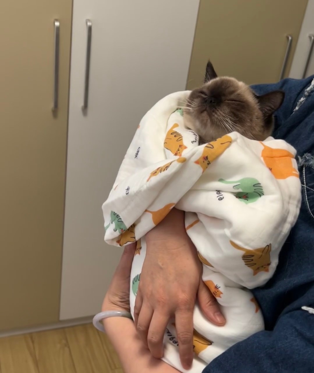 奴才：你倒是快點睡啊 