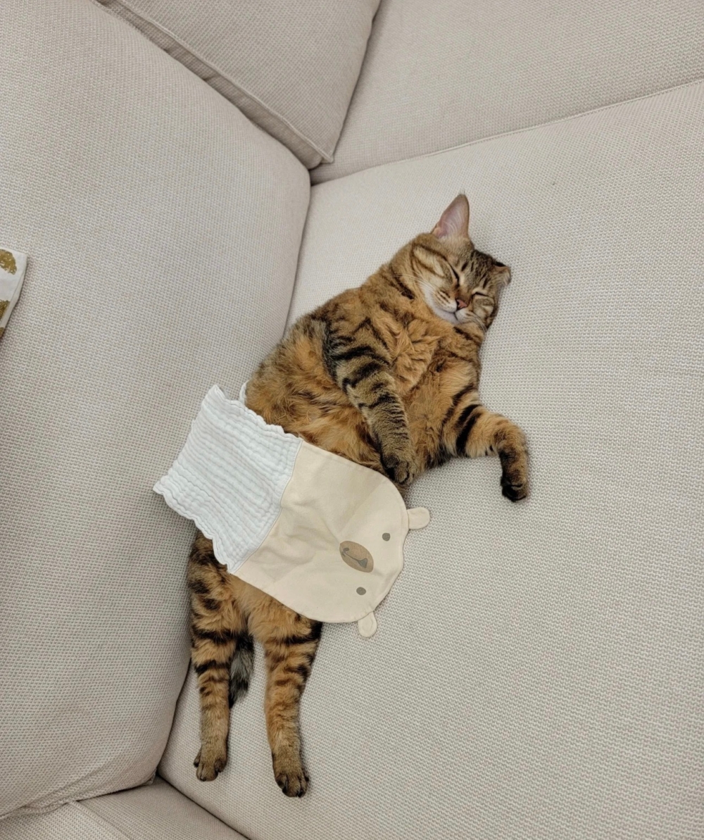 奴才：別那麼客氣呀