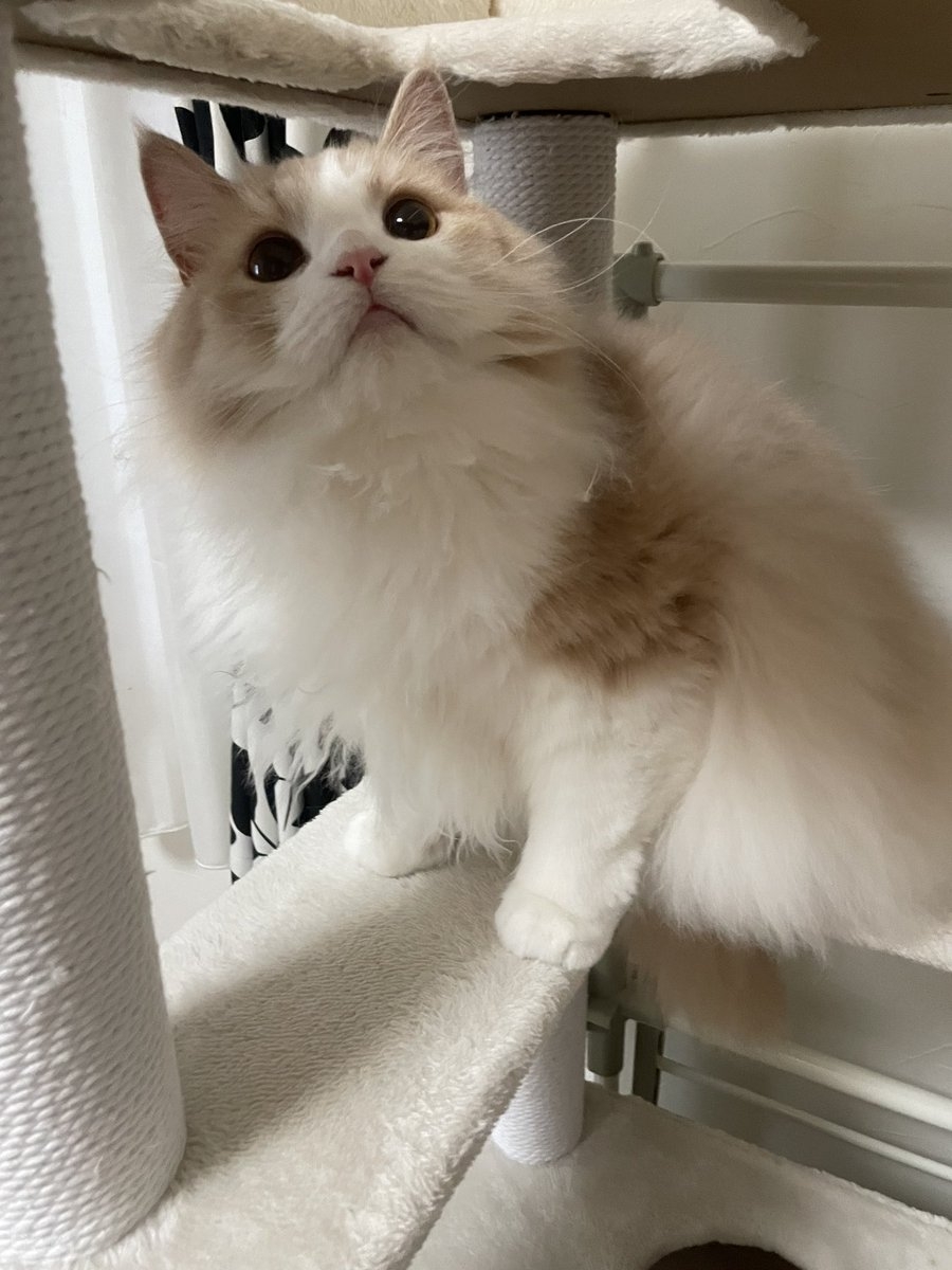 奴才：這是關心你囉