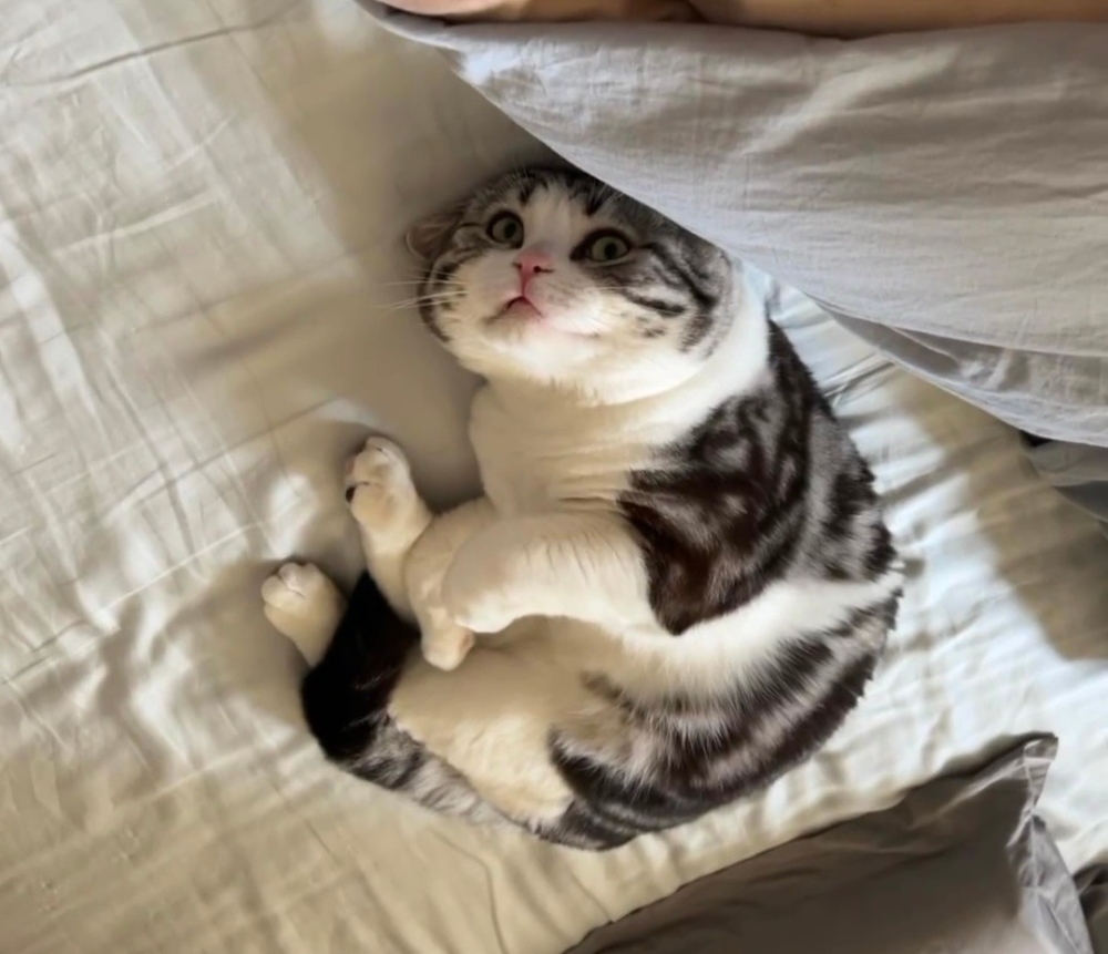 奴才：什麼時候的事情，我怎麼不知道